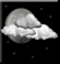 Partly cloudy Partly cloudy